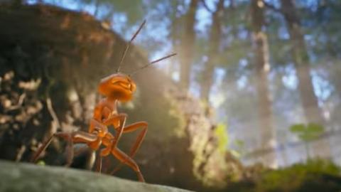Les Fourmis : dans les jambes de la PS5