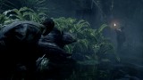 Image Mafia III
