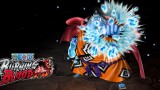 Image One Piece : Burning Blood