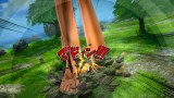 Image One Piece : Burning Blood