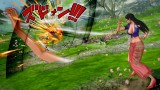 Image One Piece : Burning Blood