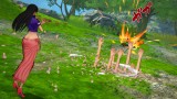 Image One Piece : Burning Blood