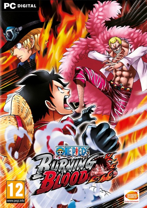 Jaquette One Piece : Burning Blood
