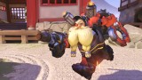 Image Overwatch
