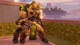 Image Overwatch