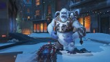 Image Overwatch