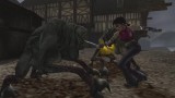 Image Primal