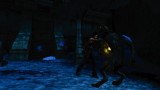 Image Primal
