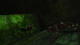 Image Primal