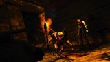 Image Primal