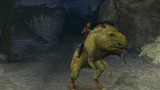 Image Primal