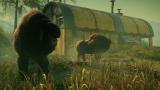 Image RAGE 2