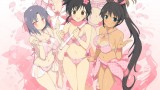 Image Senran Kagura : Estival Versus