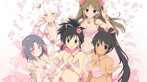 Une version PC et un DLC pour Senran Kagura : Estival Versus