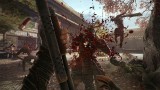 Image Shadow Warrior 2