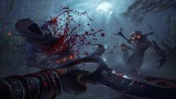 Image Shadow Warrior 2