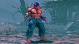 Image Street Fighter V