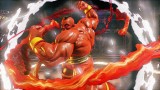 Image Street Fighter V