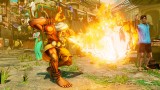 Image Street Fighter V