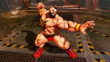 Image Street Fighter V
