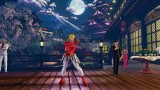 Image Street Fighter V