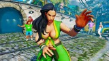 Image Street Fighter V