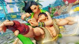 Image Street Fighter V