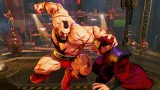 Image Street Fighter V