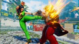 Image Street Fighter V