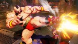 Image Street Fighter V
