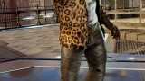 Image Tekken 7