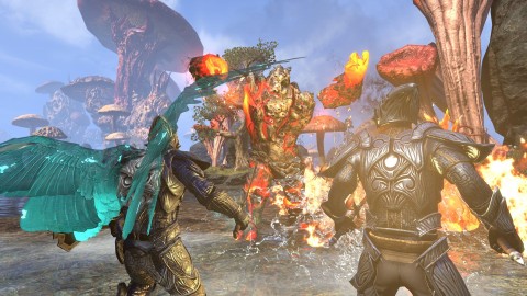 The Elder Scrolls Online : Morrowind présente le Gardien