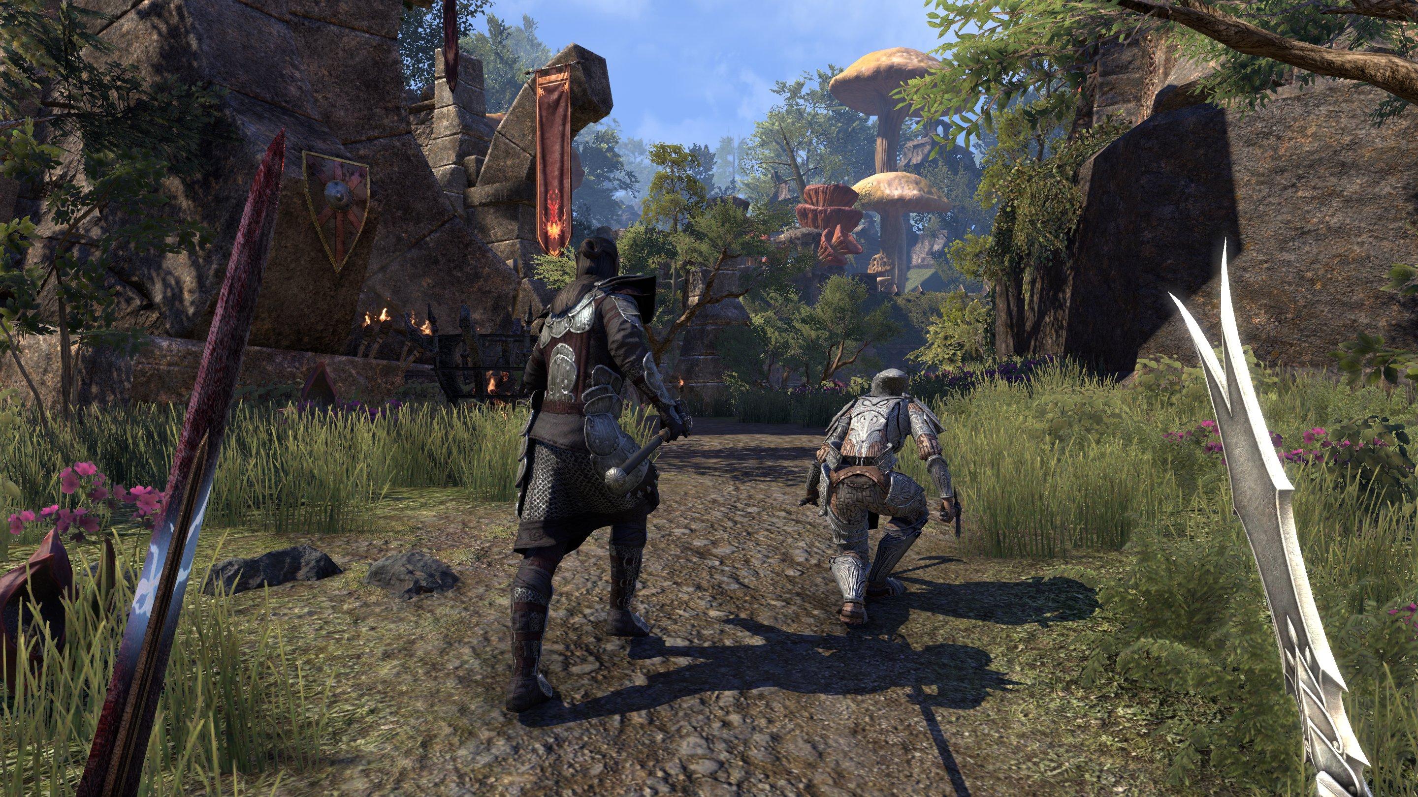 The Elder Scrolls Online Купить Ключ Steam