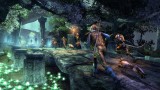 Image The Elder Scrolls Online: Tamriel Unlimited
