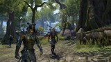 Image The Elder Scrolls Online: Tamriel Unlimited