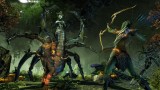 Image The Elder Scrolls Online: Tamriel Unlimited