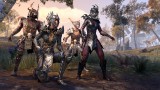Image The Elder Scrolls Online: Tamriel Unlimited