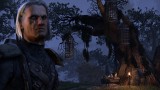 Image The Elder Scrolls Online: Tamriel Unlimited