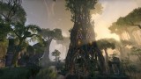 Image The Elder Scrolls Online: Tamriel Unlimited