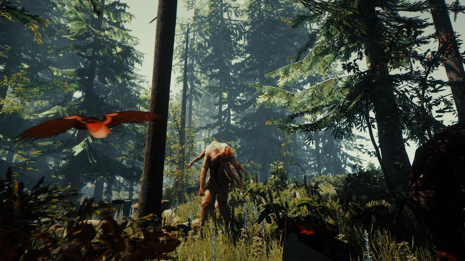 Son Of The Forest Date De Sortie