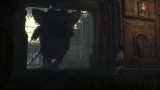 Image The Last Guardian