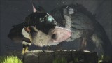 Image The Last Guardian