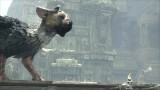 Image The Last Guardian