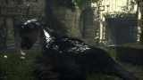 Image The Last Guardian