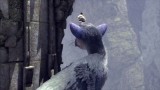 Image The Last Guardian