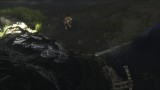 Image The Last Guardian