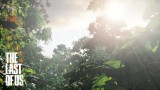 Image The Last Of Us