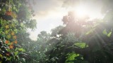 Image The Last Of Us