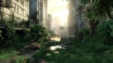 Image The Last Of Us