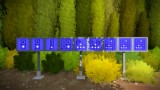 Image The Witness